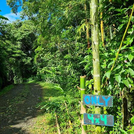 Vulkan Arenal Amazing View Lodge 4 Wd El Castillo Eksteriør billede