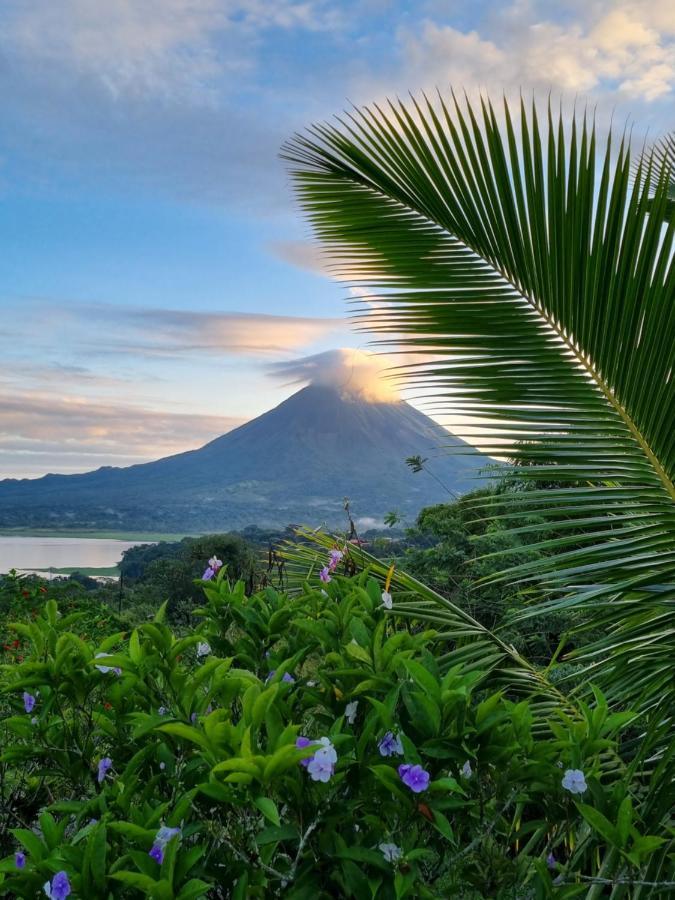 Vulkan Arenal Amazing View Lodge 4 Wd El Castillo Eksteriør billede