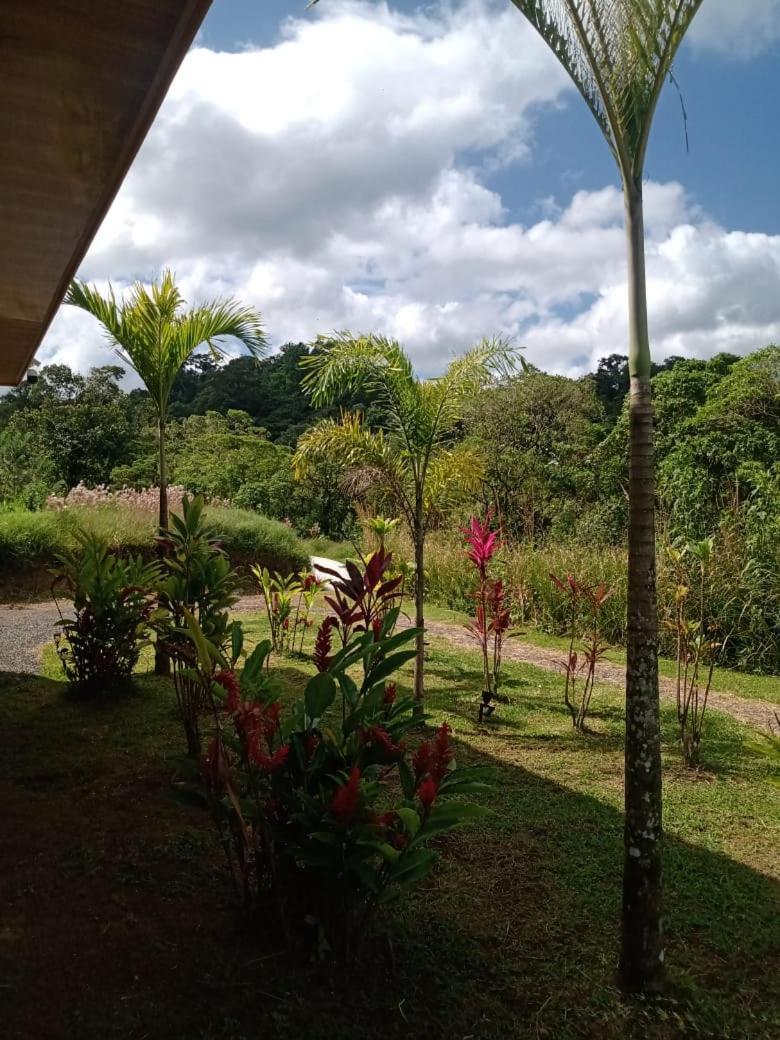 Vulkan Arenal Amazing View Lodge 4 Wd El Castillo Eksteriør billede